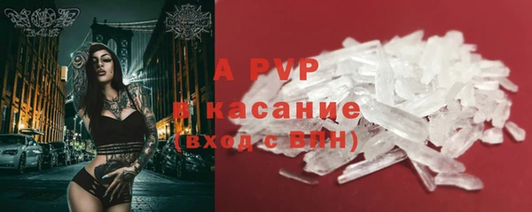 сатива Баксан