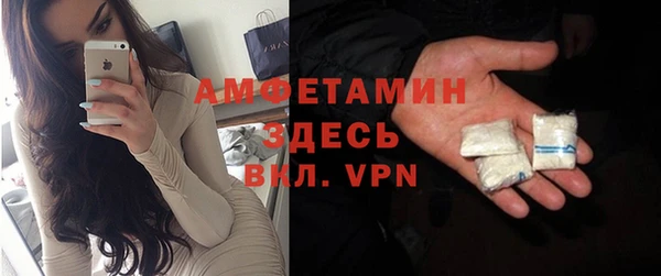 сатива Баксан