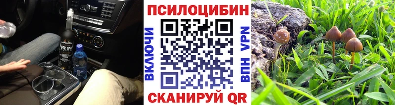 нарко площадка телеграм  Славянск-на-Кубани  Псилоцибиновые грибы мицелий  магазин продажи  